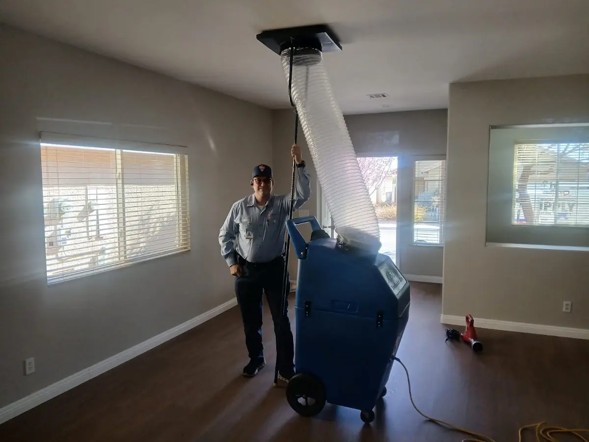 Professional Dryer Vent Cleaning work inside a Woodburn home